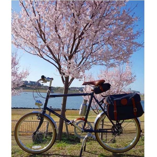 canvas double pannier bag